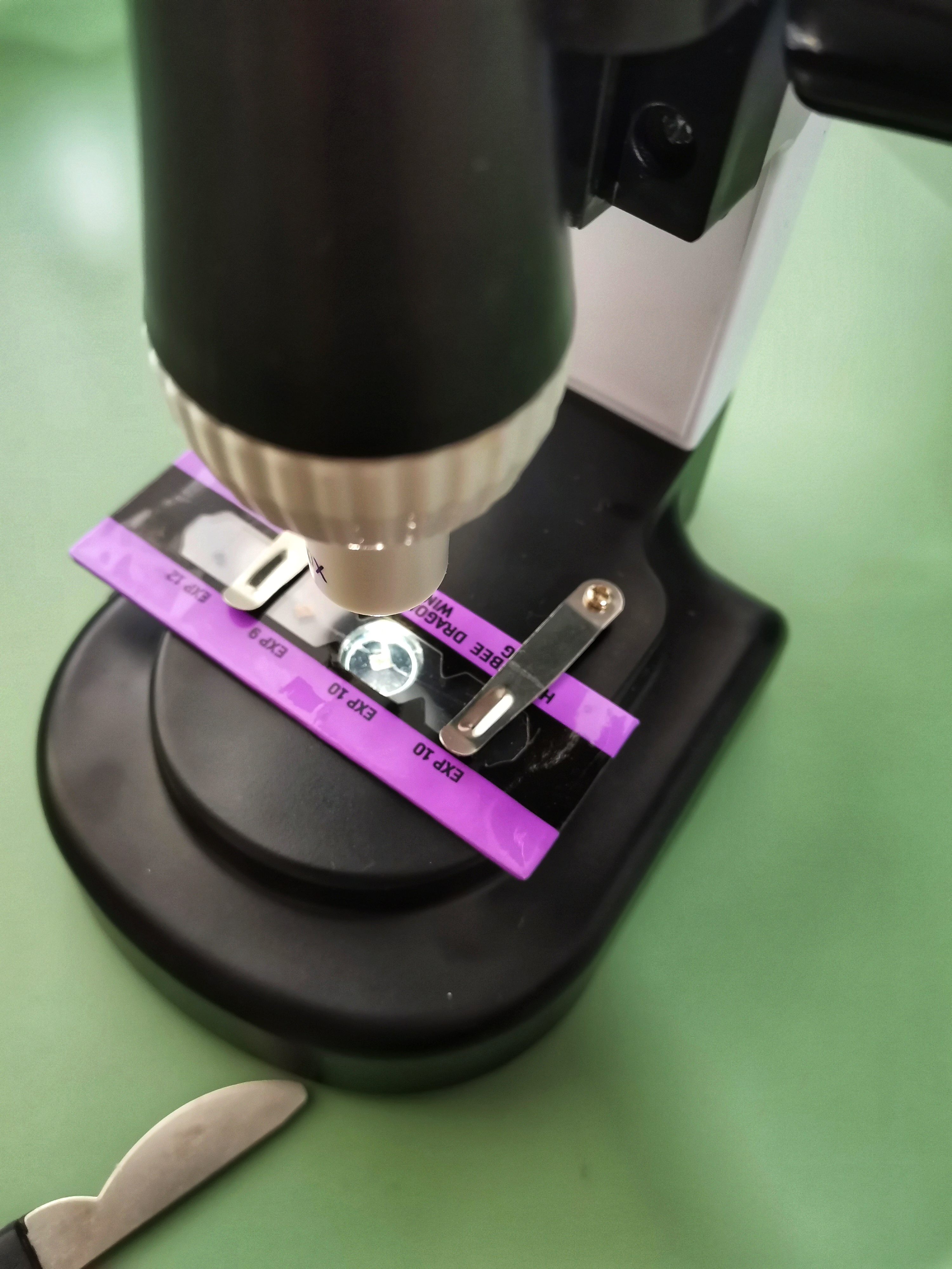 marking Peeling morphine Microscop pentru micutii cercetatori. Posibilitati infinite de specimene  noi!